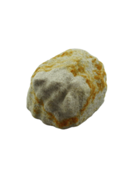 smf-aquaristik, Handgefertigter Ausstr�merstein aus nat�rlichem Sandstein