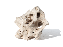 smf-aquaristik, Asiatisches Lochgestein, 13-20cm
